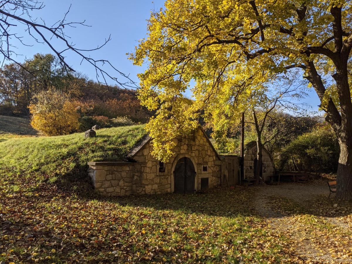 فيلا Bonito - Historischer Streckhof Schützen am Gebirge المظهر الخارجي الصورة